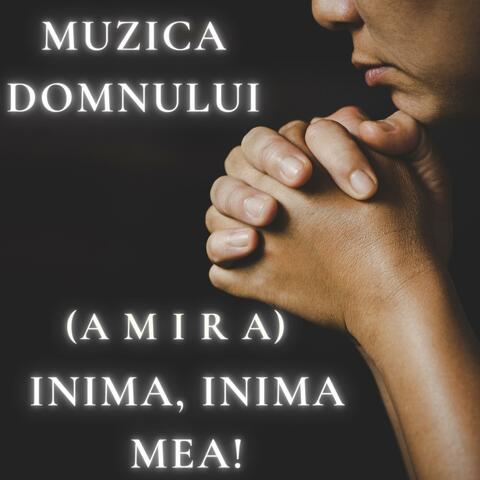 Inima, inima mea! (feat. Amira) album art
