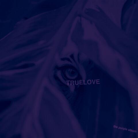 the purple album album art