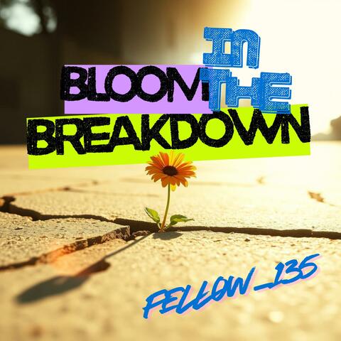 Bloom In The Breakdown album art