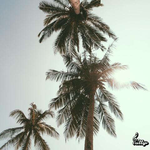 Paradise album art