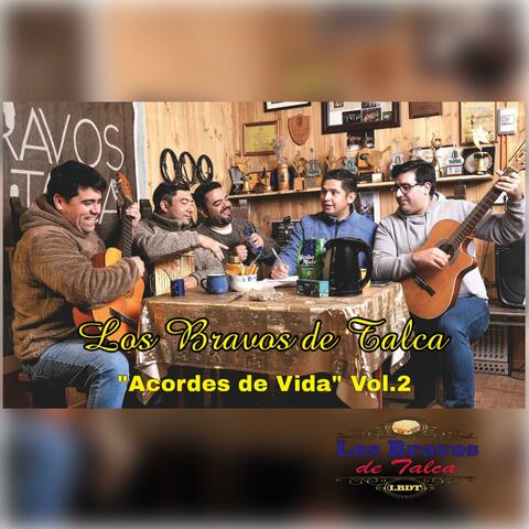 Acordes de Vida, Vol. 2 album art