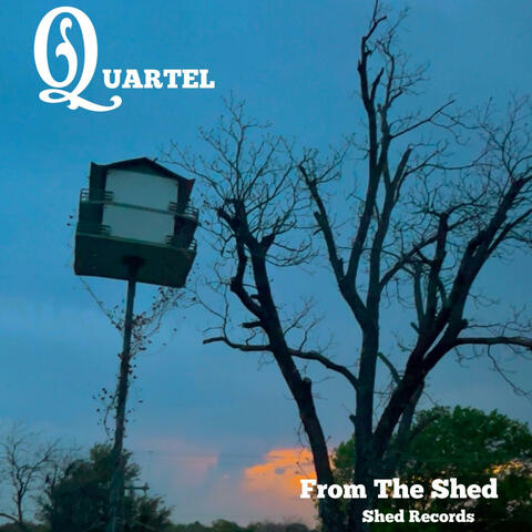 From The Shed album art