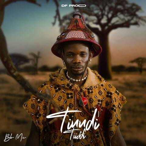 Tinndi Tiiɗɗi album art