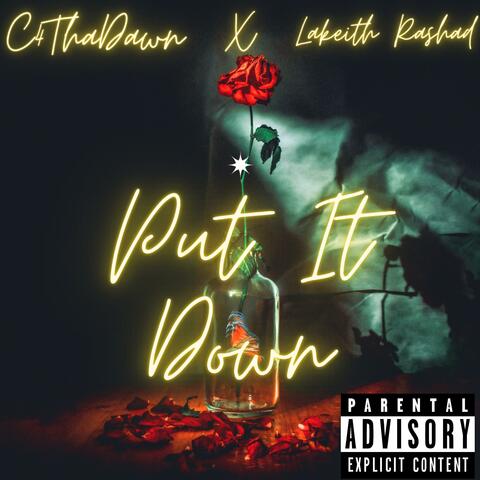 Put it down album art
