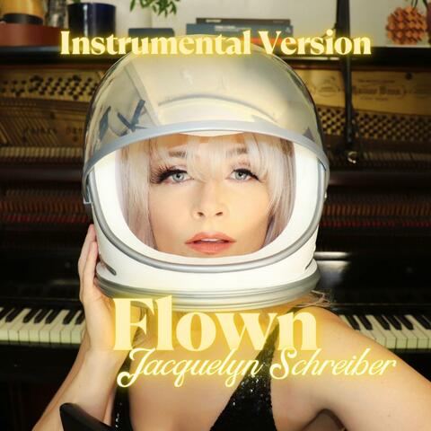 Flown (Instrumental Mixes) album art