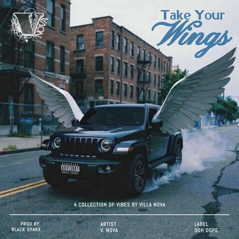 Take Your Wings album art