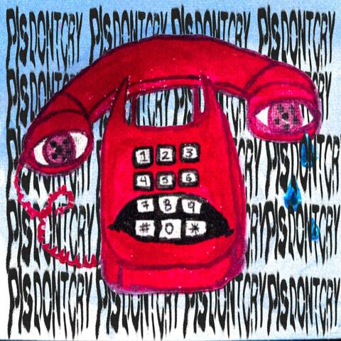 Pls Dont Cry album art