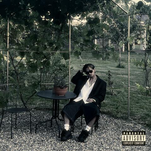 rising star album art