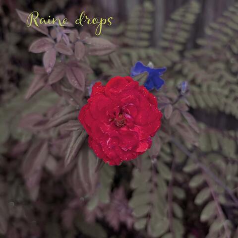 Raine Drops album art