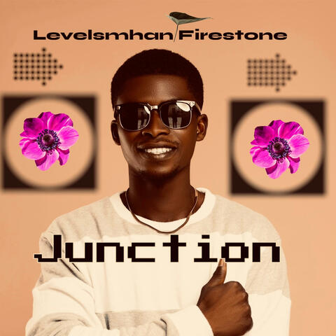 Junction album art