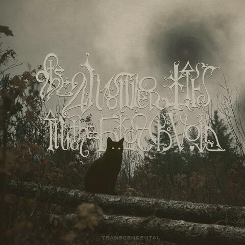 Transcendental album art