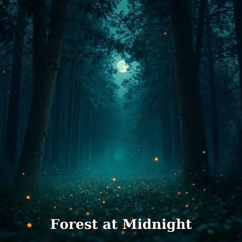 Forest at Midnight album art