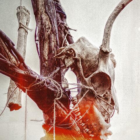Immolate album art