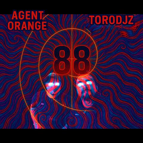 88 (feat. Torodjz) album art