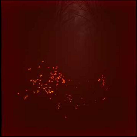 Flammen in der Nacht album art