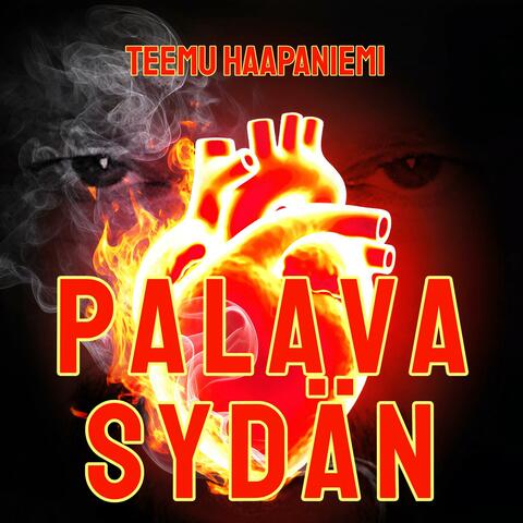 Palava sydän album art