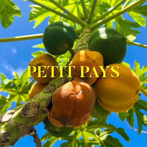 Petit Pays album art