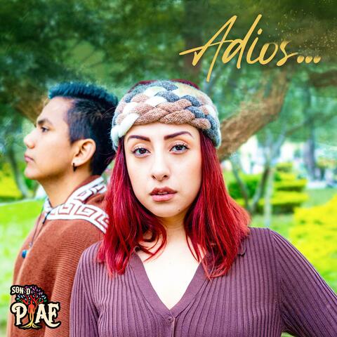 Adios album art
