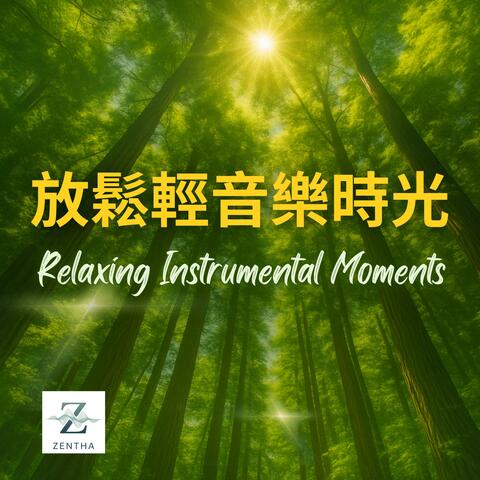 放鬆輕音樂時光｜Relaxing Instrumental Moments album art