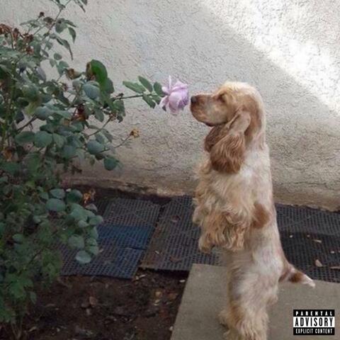 FRIEND ZONE (feat. Jaiyus) album art