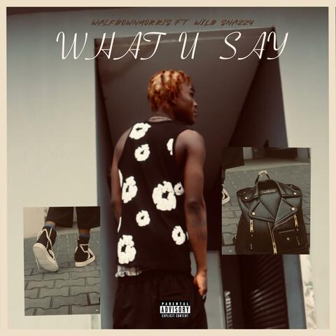 WHAT U SAY (feat. Wildsnazzy) album art