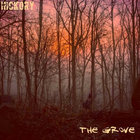 The Grove album art