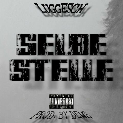 SELBE STELLE album art