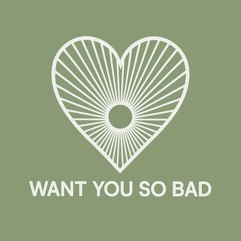 Want You So Bad album art