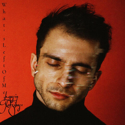 What's Left of Me? album art