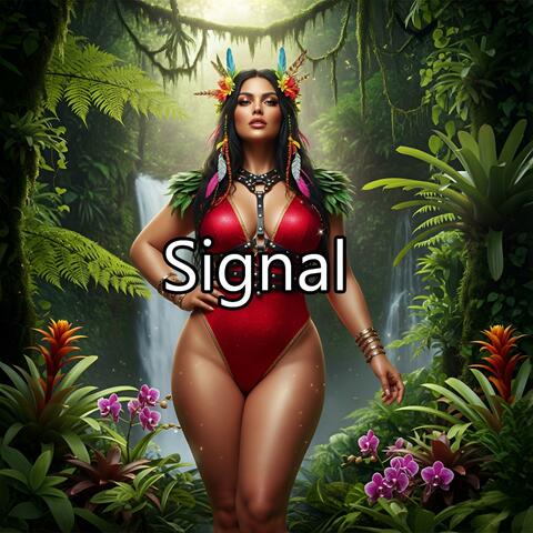 Signal album art