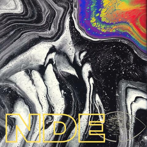 NDE (A Recollection 2013-2020) album art