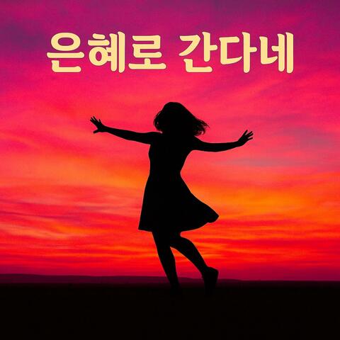 은혜로 간다네 album art