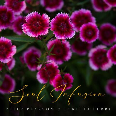 Soul Infusion album art