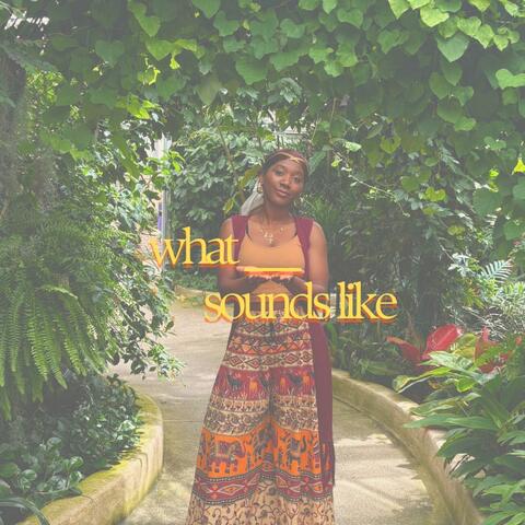 what ___ sounds like album art