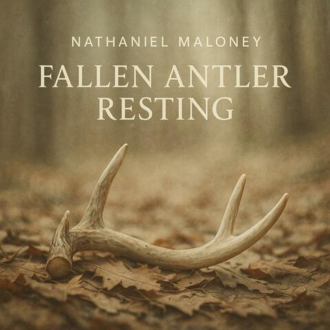 Fallen Antler Resting album art