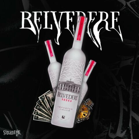 BELVEDERE album art