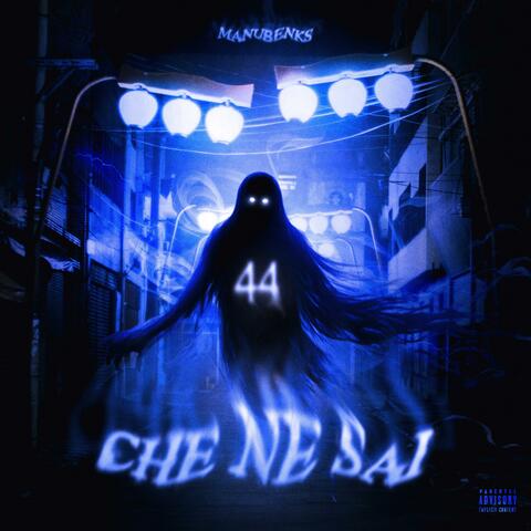 CHE NE SAI album art