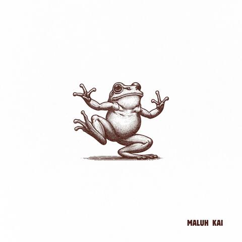 Frog Funk album art