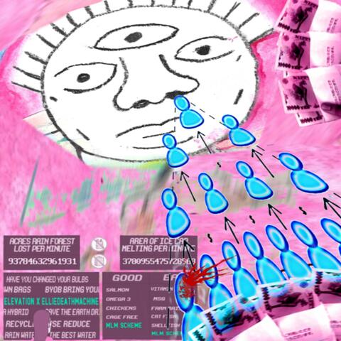 MLM Scheme album art