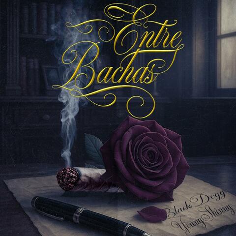 Entre Bachas (feat. Young Skinny) album art
