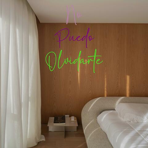 No Puedo Olvidarte album art