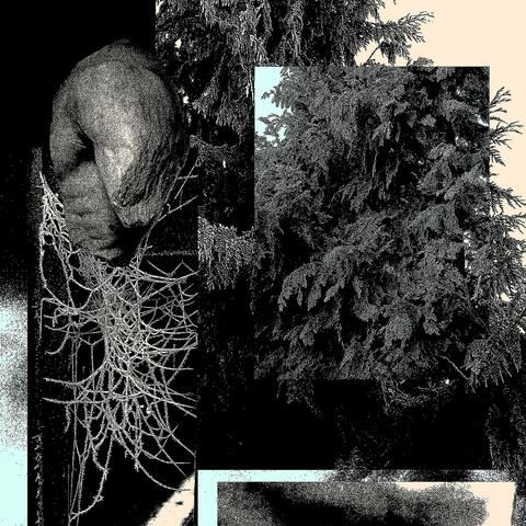 Loyal to None album art