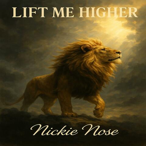 Lift Me Higher album art