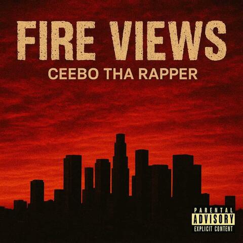 Fire Views album art
