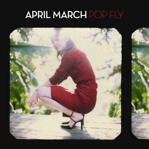 Pop Fly album art