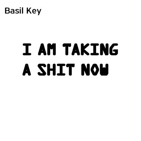 I Am Taking A Shit Now album art