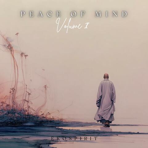 Peace of mind : Volume I album art