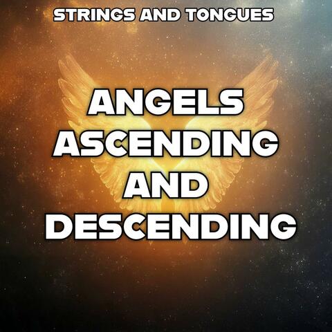 Motion Of Angels (Prophetic Chants) album art