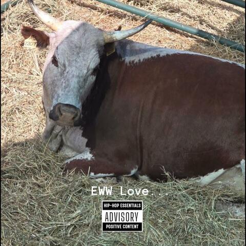 Never (feat. Chaka) album art
