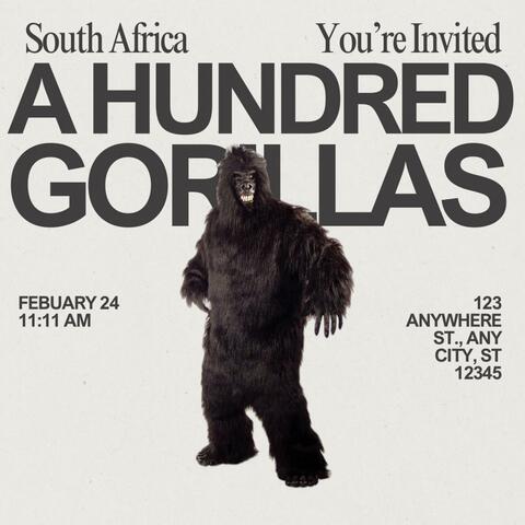 100 GORILLAS album art